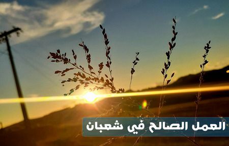 العمل الصالح في شعبان لن يُرفع لبعض المسلمين