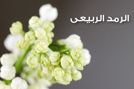 الرمد الربيعي ، Spring Ophthalmology ، صورة