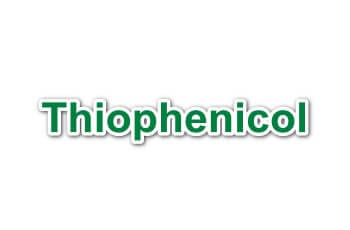 صورة , عبوة دواء , مضاد حيوي , ثيوفينيكول , Thiophenicol