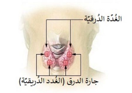 أمراض الغدة الدرقية