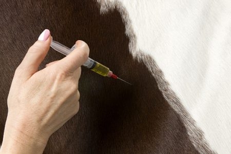 صورة , علاج الجرب نهائياً , تطهير الفراش