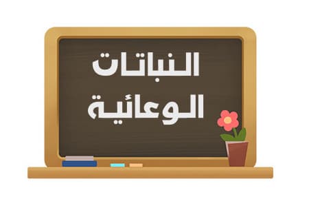 بحث عن النباتات اللاوعائية موضوع