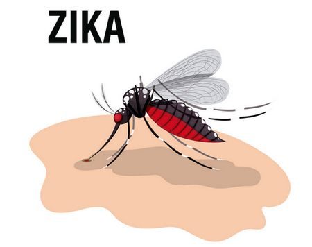 مرض زيكا ، Zika virus ، صورة