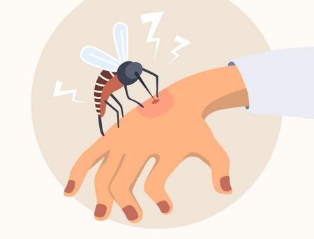 Zika's disease,مرض زيكا,صورة