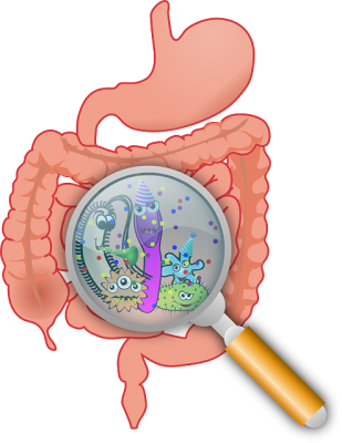 علاج الإسهال، دواء الاسهال،Diarrhea