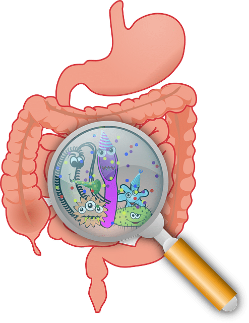 علاج الإسهال، دواء الاسهال،Diarrhea