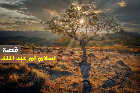 قصة, إسلام, أم عبد الملك, المرأة الأمريكية