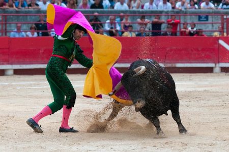 مصارعة الثيران , Bullfighting