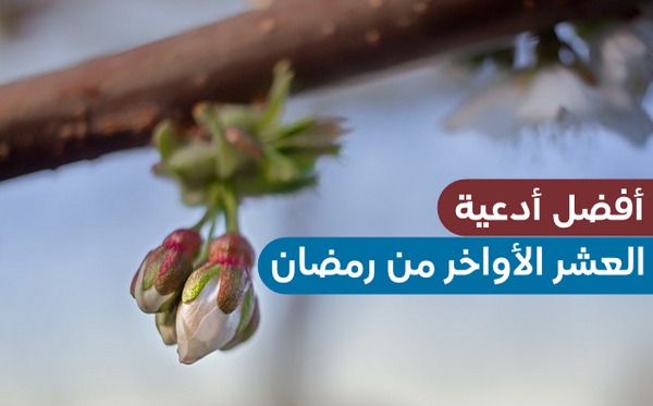 أفضل الأدعية في العشر الأواخر من رمضان – دعاء اللهم إنك عفو تحب العفو فاعف عنا