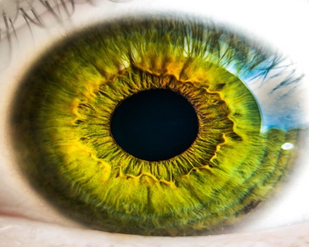 شبكية العين ، مرضى السكري ، اعتلالات العيون ، قطرة العين