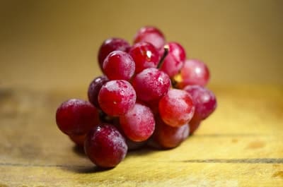 فوائد، العنب، فواكه،grapes،الزهايمر