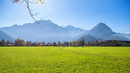 أهمية, المساحات الخضراء, green land , صورة