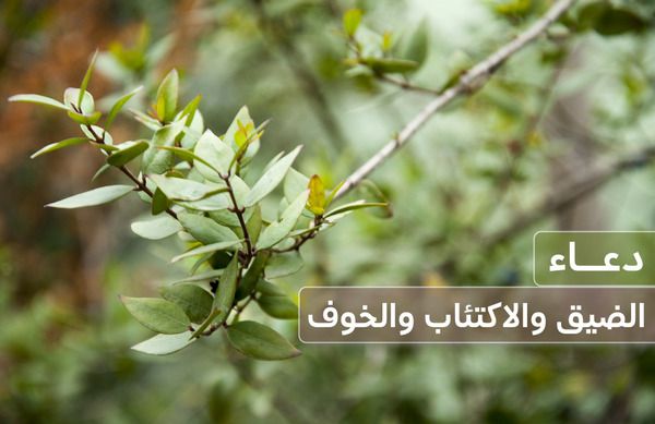 دعاء الضيق والاكتئاب والخوف – لكل مسلم يرجو الفرج القريب