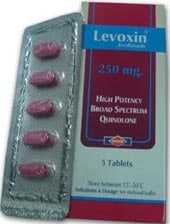صورة , عبوة , دواء , ليفوكسين , 250 Levoxin