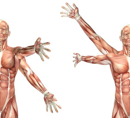 ما هو مرض ضمور العضلات