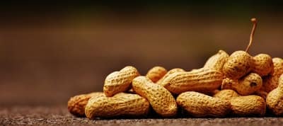 peanuts ,photo,فوائد,الفول السوداني