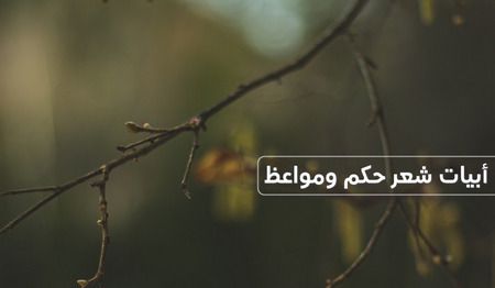 أبيات شعر, حكم ومواعظ