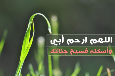 رحمك الله يا أبي وأسكنك فسيح جناته , دعوات للأب المتوفى , دعاء لأبي الميت