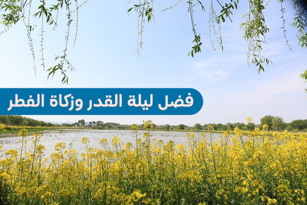 فضل ليلة القدر , زكاة الفطر