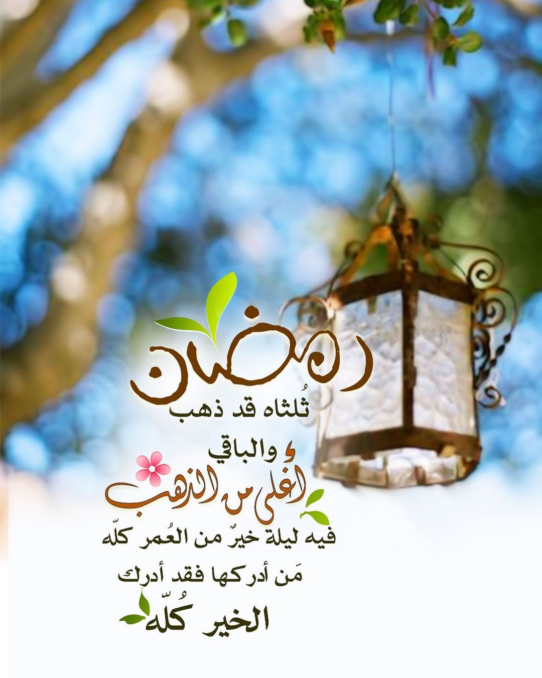 رمضان ثُلثاه قد ذهب والباقي أغلى من الذهب؛ فيه ليلة خير من العمر كله من أدركها فقد أدرك الخير كله