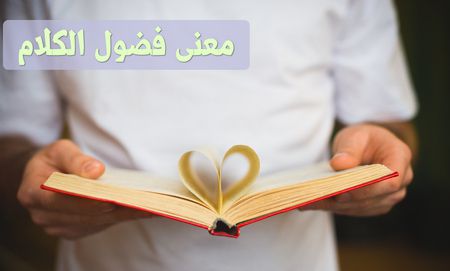 معنى فضول الكلام