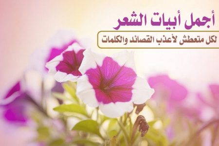 أجمل أبيات الشعر