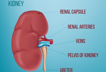 أسماء أدوية علاج الكلى وأمراضها