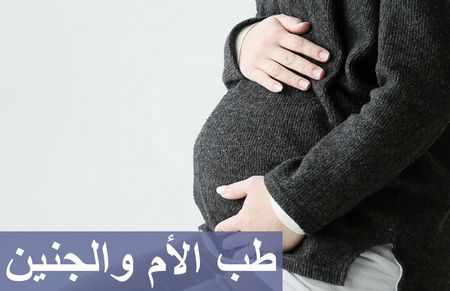 الحمل