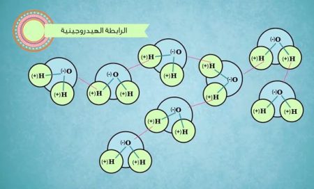 الروابط الهيدروجينية