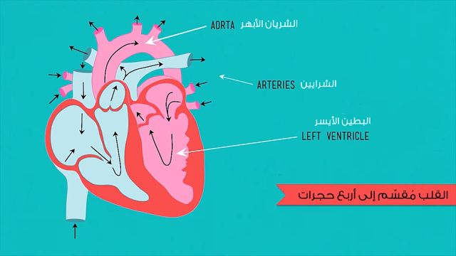 أللياقة القلبية التنفسية هي قدرة الجهازين الدوري والتنفسي على أخذ الأكسجين من ألهواء الخارجي بواسطة الجهاز التنفسي