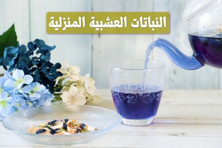 النباتات العشبية