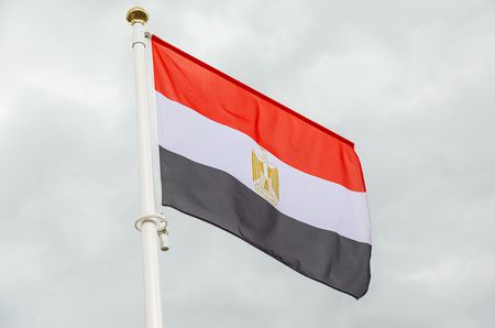 ثورة 25 يناير , الثورة المصرية