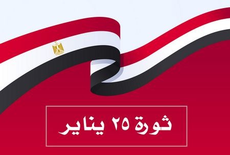 جمل , ثورة 25 يناير