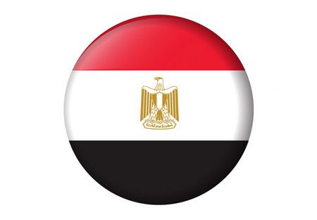 حقائق عن الثورة , ثورة 25 يناير , علم مصر