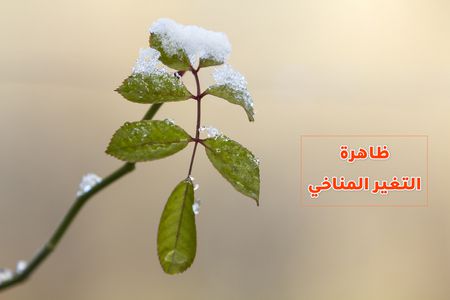 ظاهرة التغير المناخي