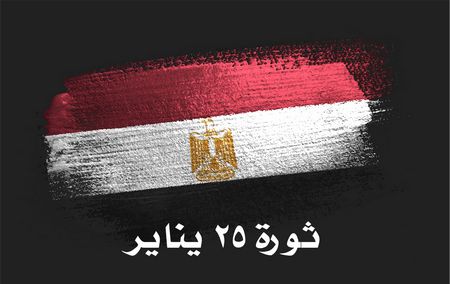 كلام عن ثورة 25 يناير في مصر