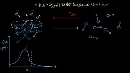 مخطط بياني للمادة