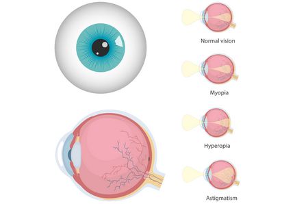 معلومات حول العين والرؤية