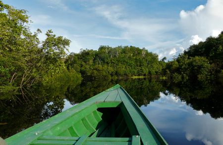 معلومات عن غابات الأمازون بالعربي , Amazon jungle
